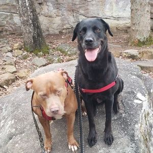 Meet your Posher, Andy